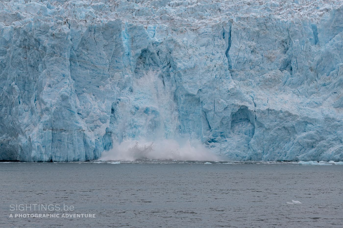 Aialik Glacier, Resurrection Bay