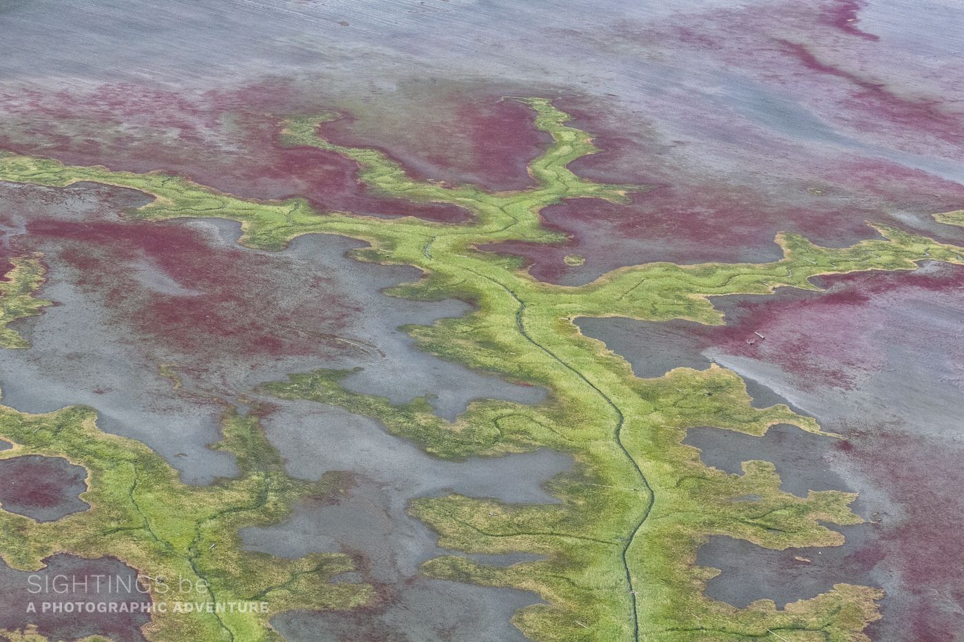 Alaska aerial view, Brook Falls - Anchorage