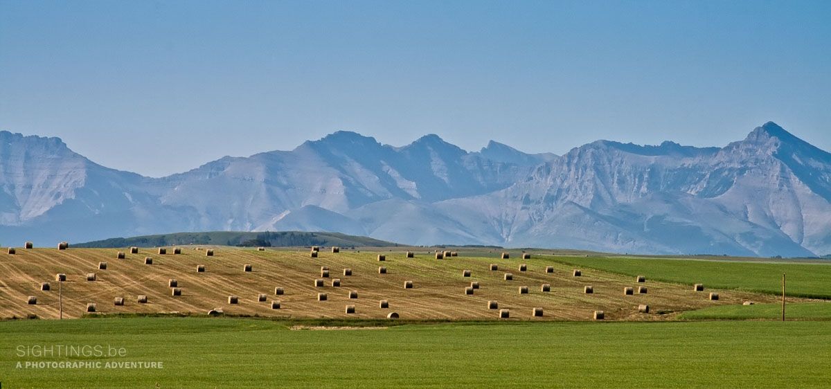 Southern prairies along the road to Waterton National Park