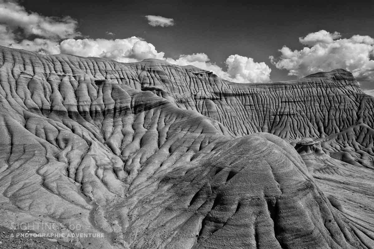 Dinosaur Provincial Park (Badlands)