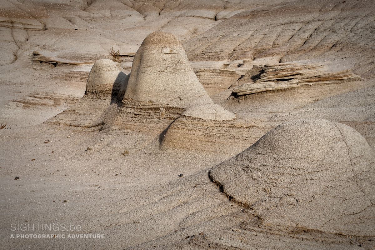 Badlands in the Dinosaur Provincial Park