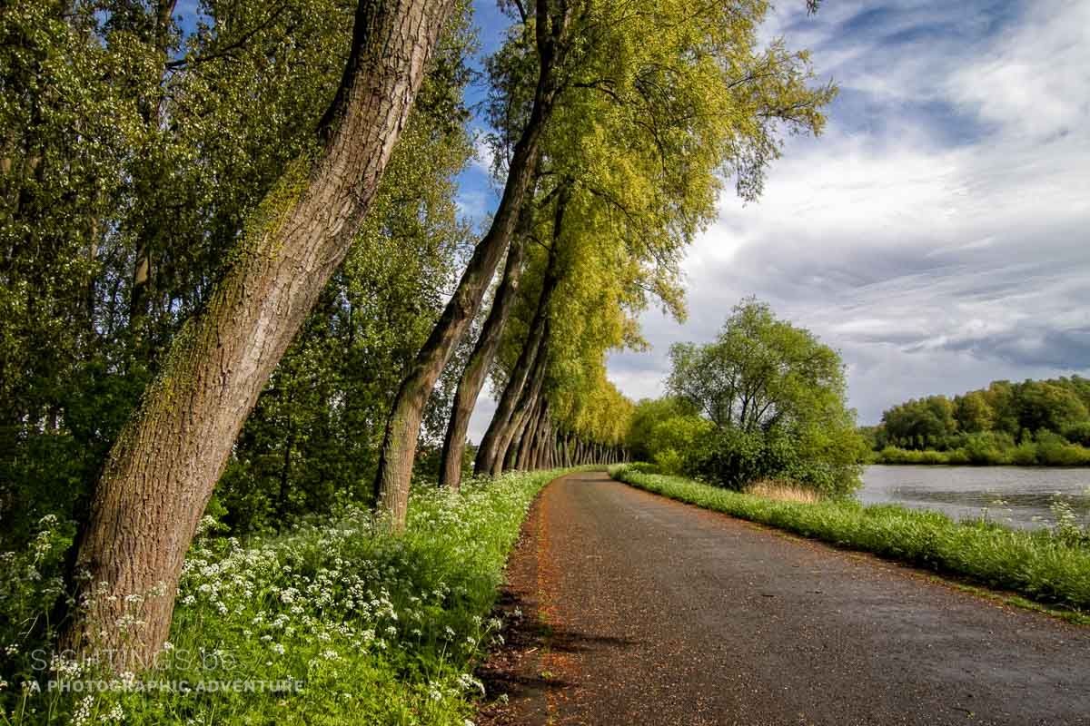 Schelde river near Eine