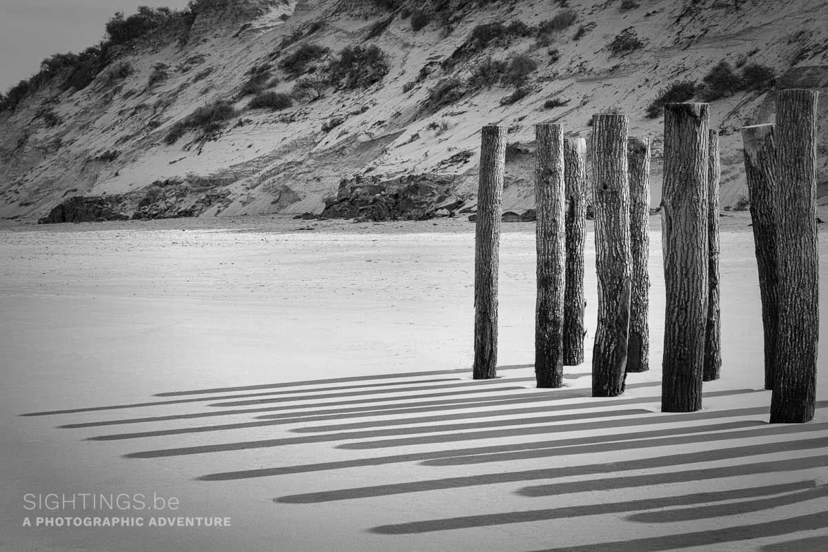 Poles at low tide