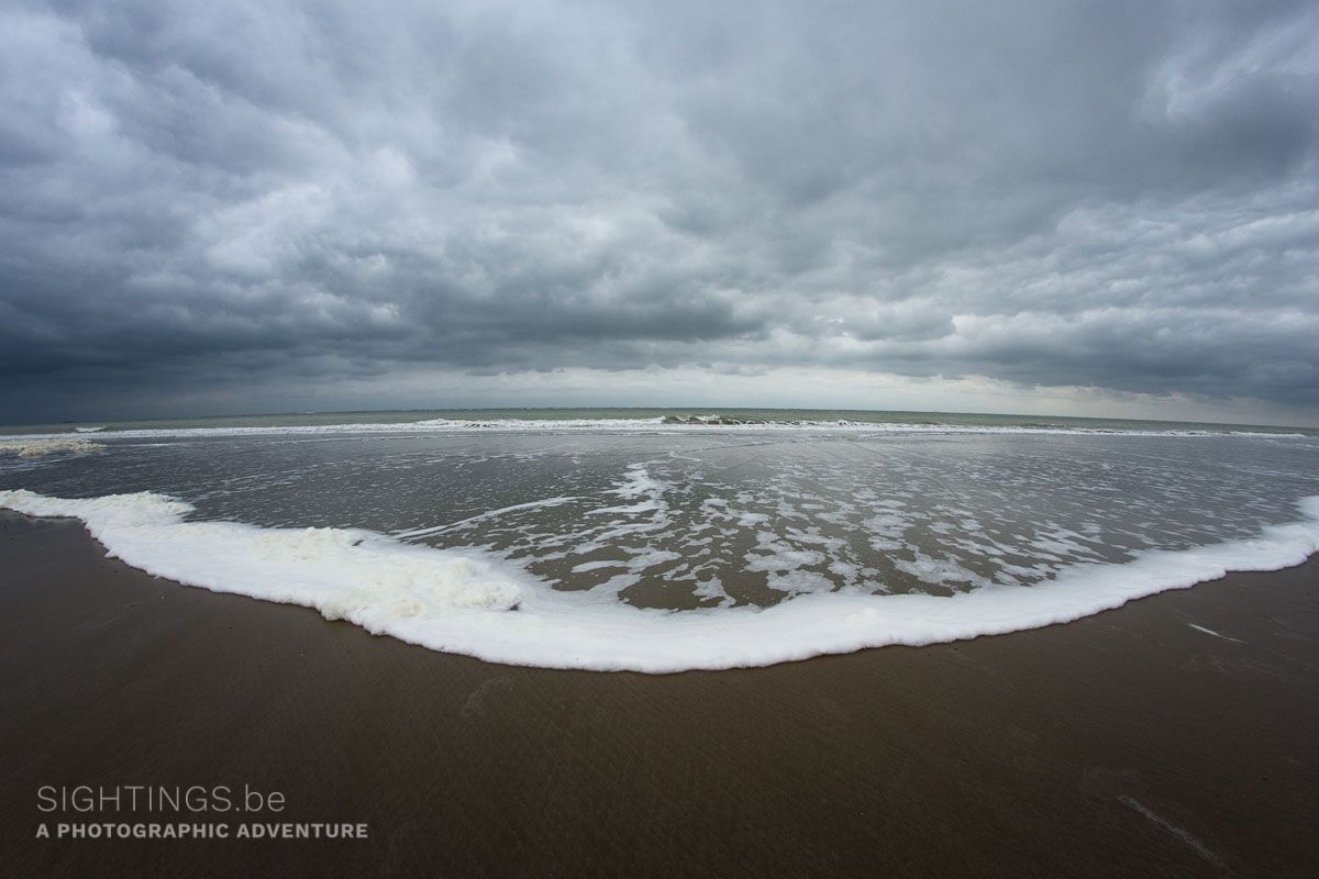 Rising tide at dawn