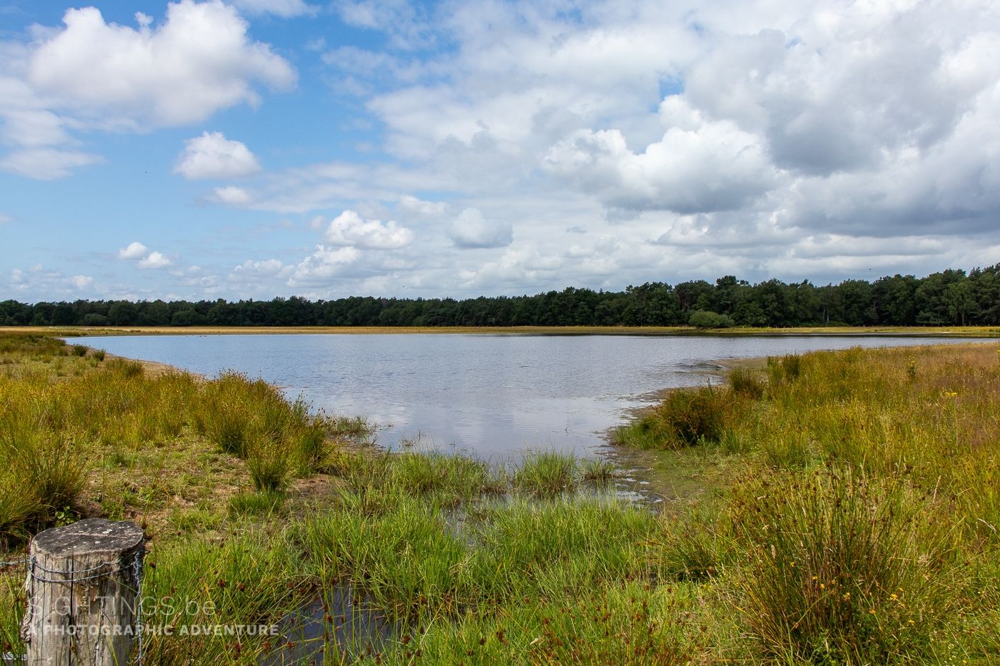 Loonse and Drunense Duinen National Park