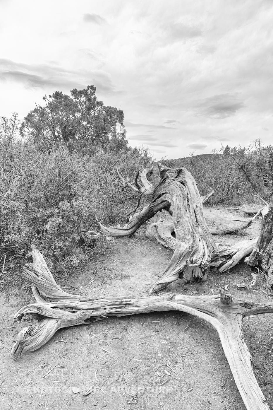 Black Canyon of the Gunnison National Park, Montrose, Colorado