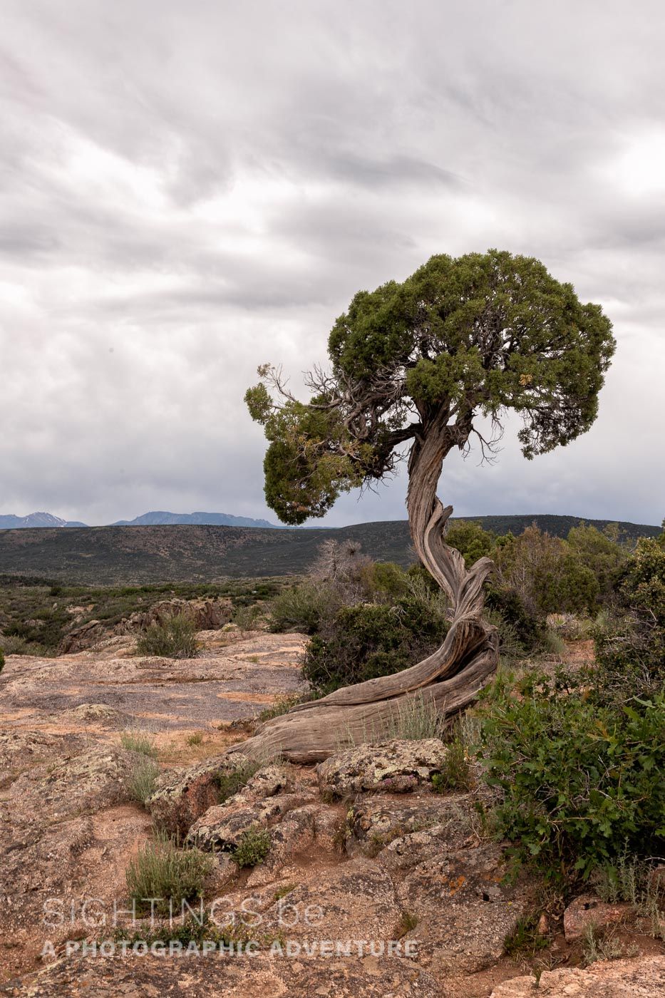 Black Canyon of the Gunnison National Park, Montrose, Colorado
