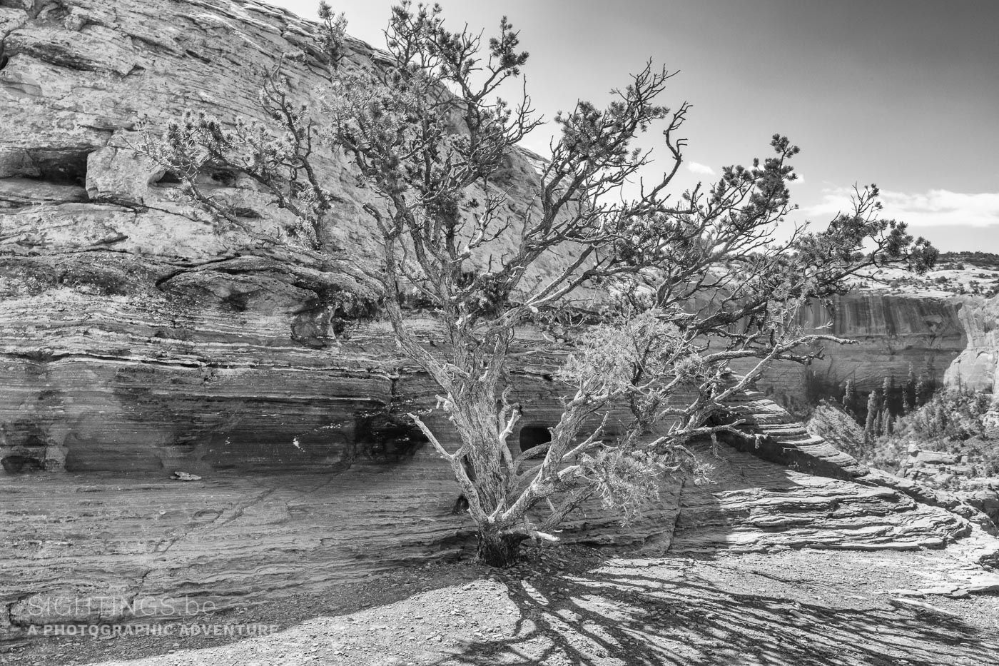 Shafer Canyon, Canyonlands National Park, Utah