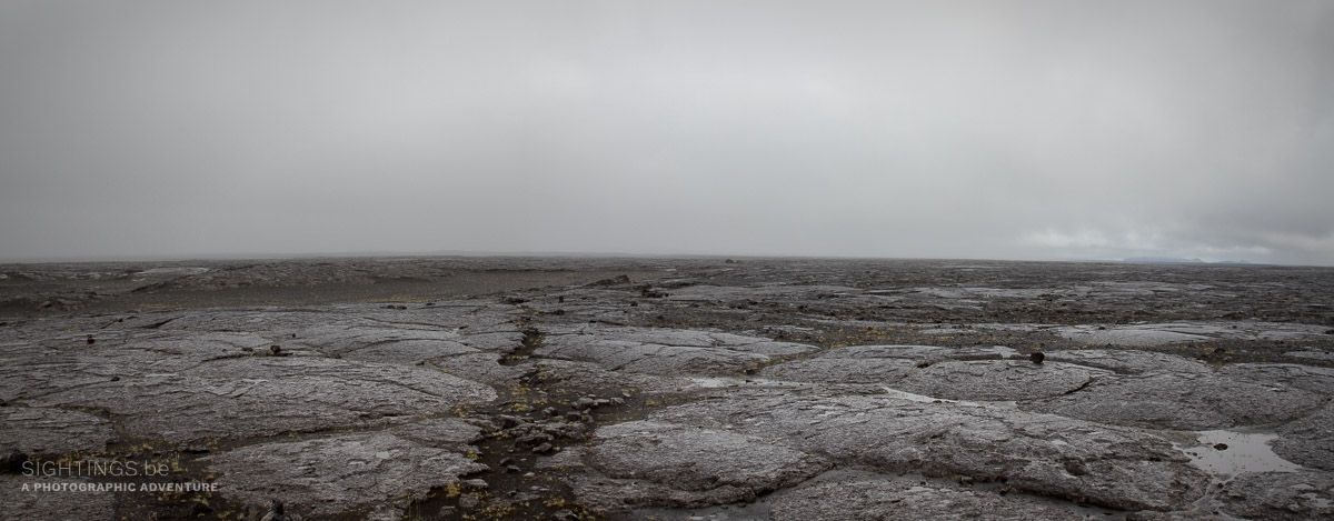 Veggir 'turtle' lava field