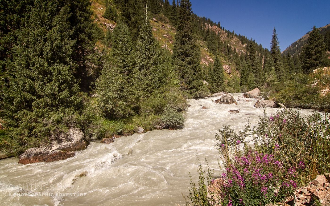 The Chon Aksu river in the Grigorievka Gorge