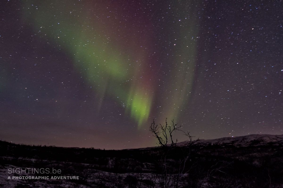 Northern lights
