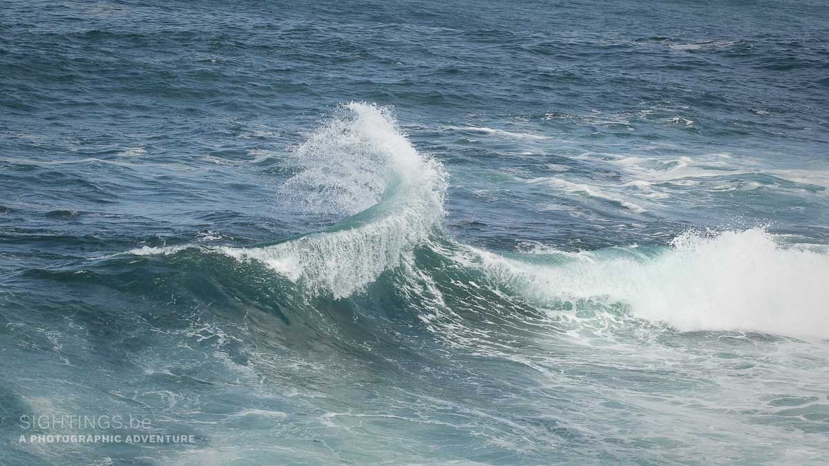 Wave near Peniche