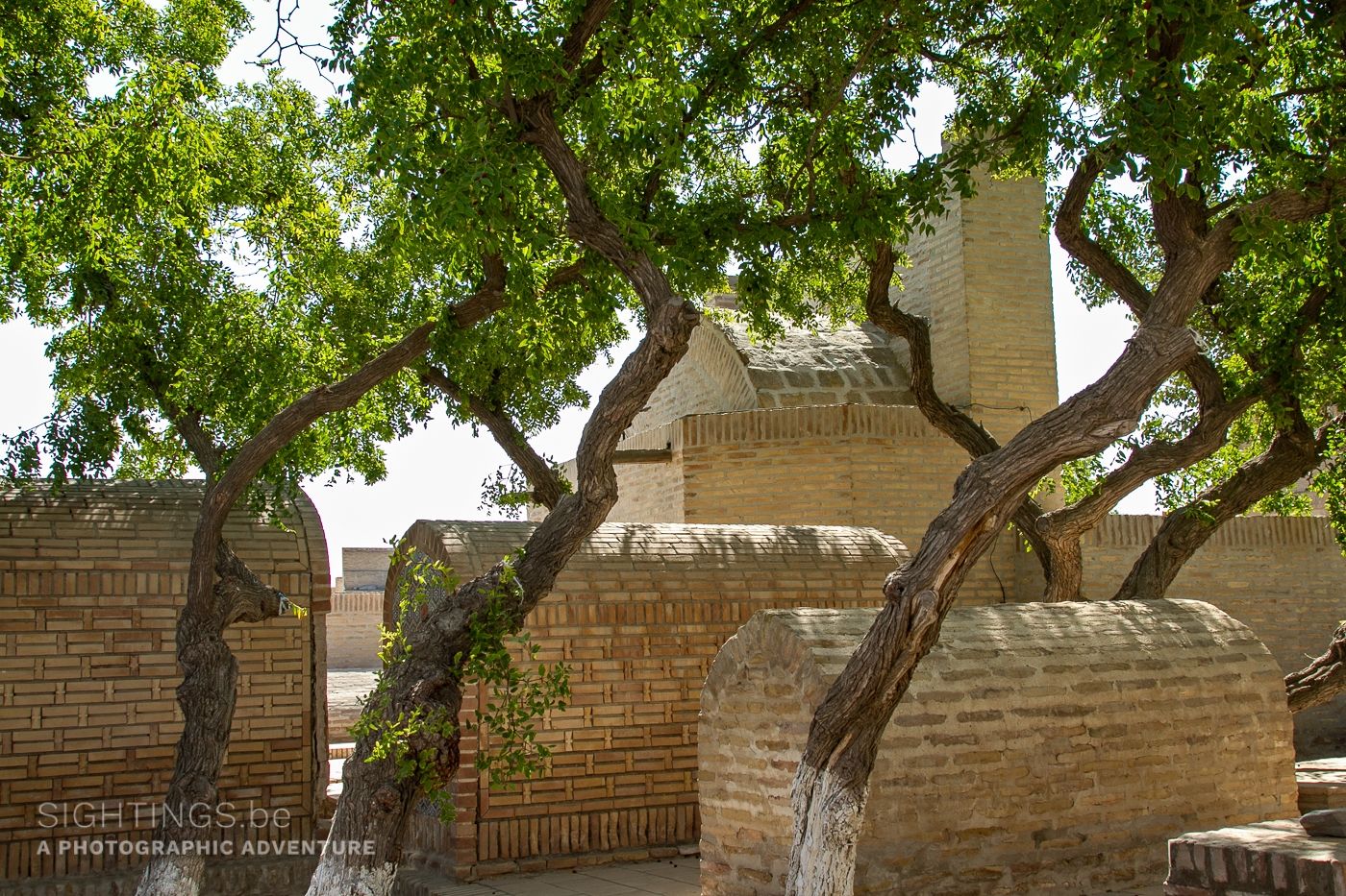 Inside the Chor Bakr Nekropol, Bukhara