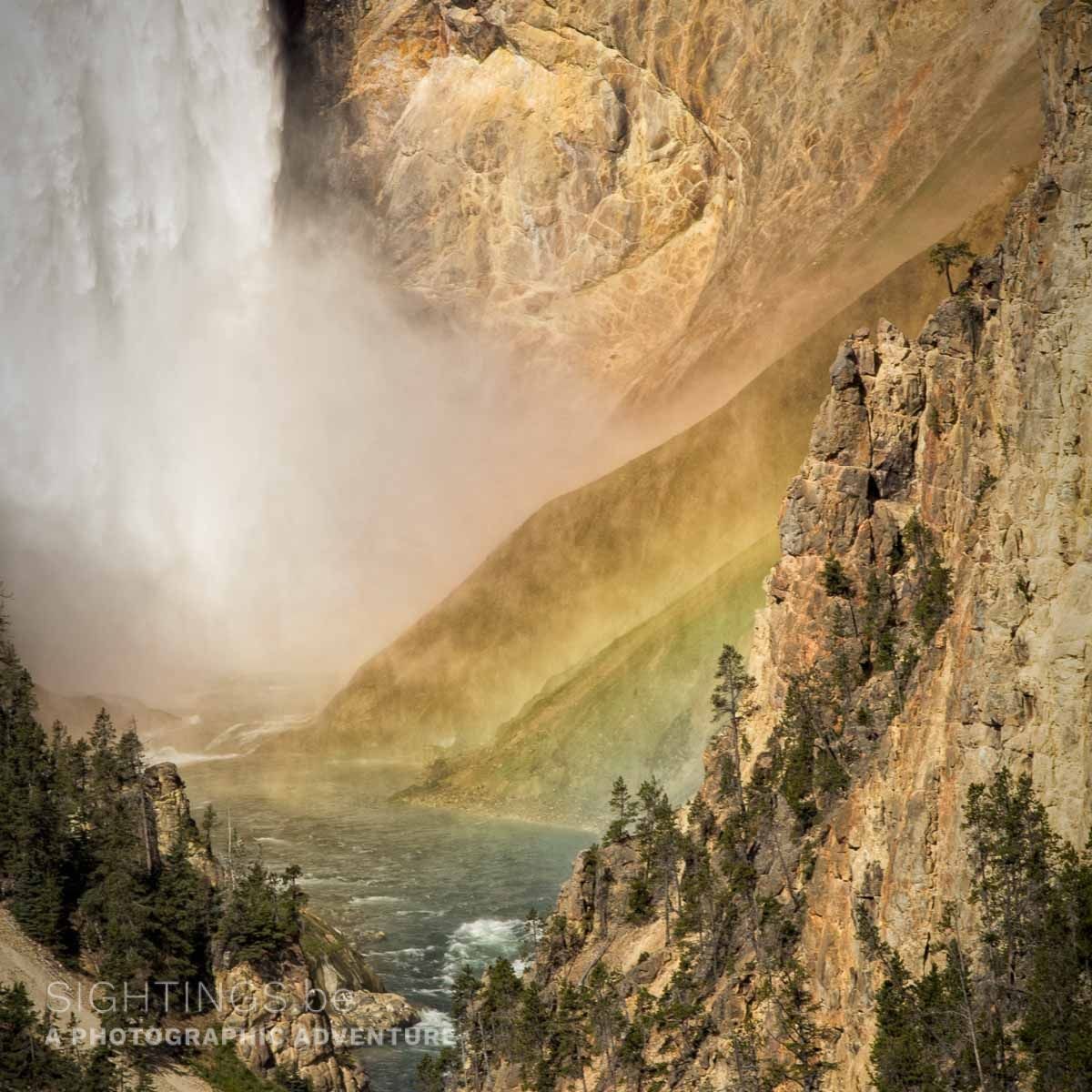 Lower Falls, Yellowstone